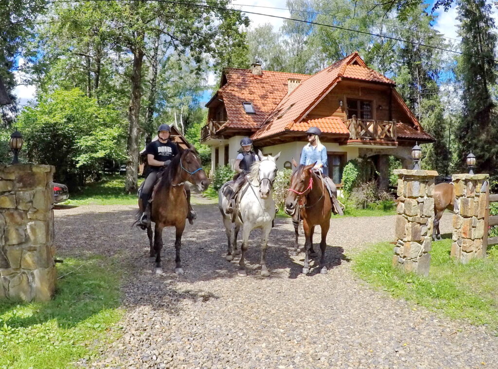tereny jazda konna